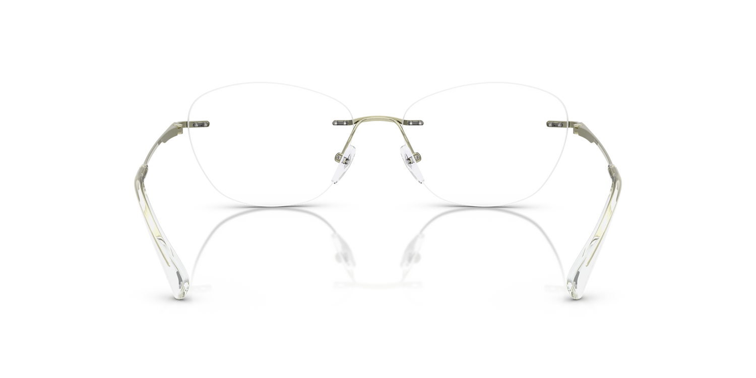 EMPORIO ARMANI EA1167 3389 55