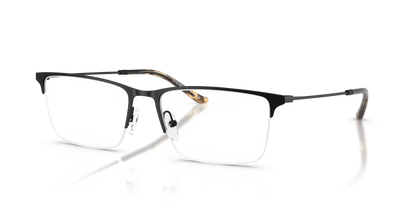 EMPORIO ARMANI EA1171 3001 55