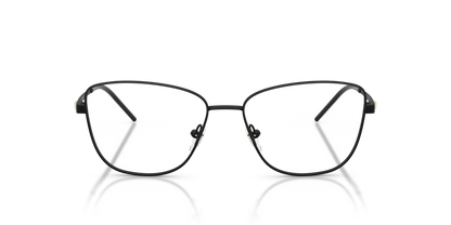 EMPORIO ARMANI EA1172 3001 55