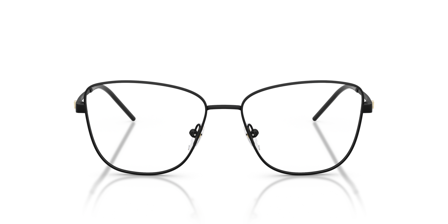 EMPORIO ARMANI EA1172 3001 53