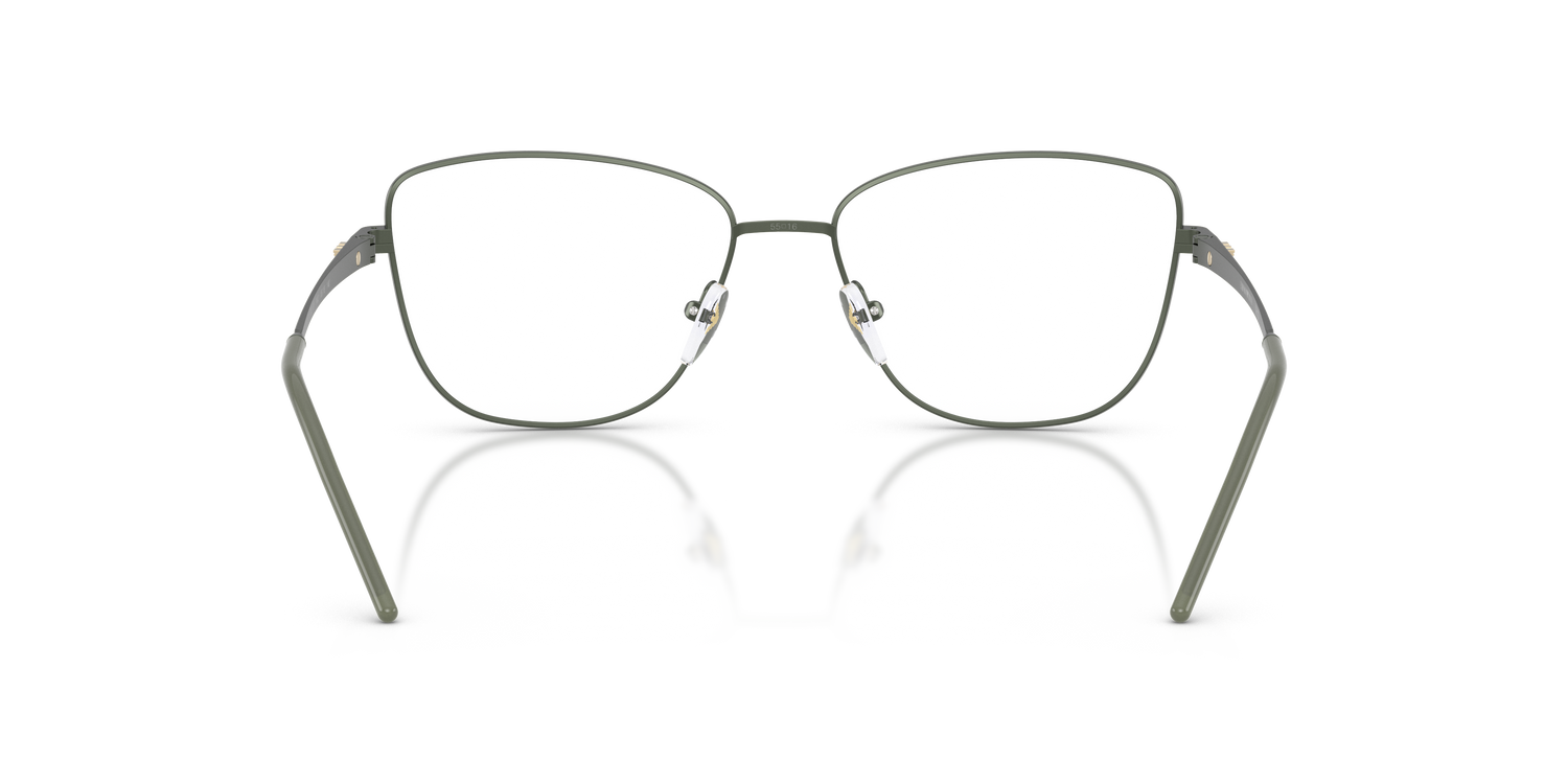 EMPORIO ARMANI EA1172 3402 55