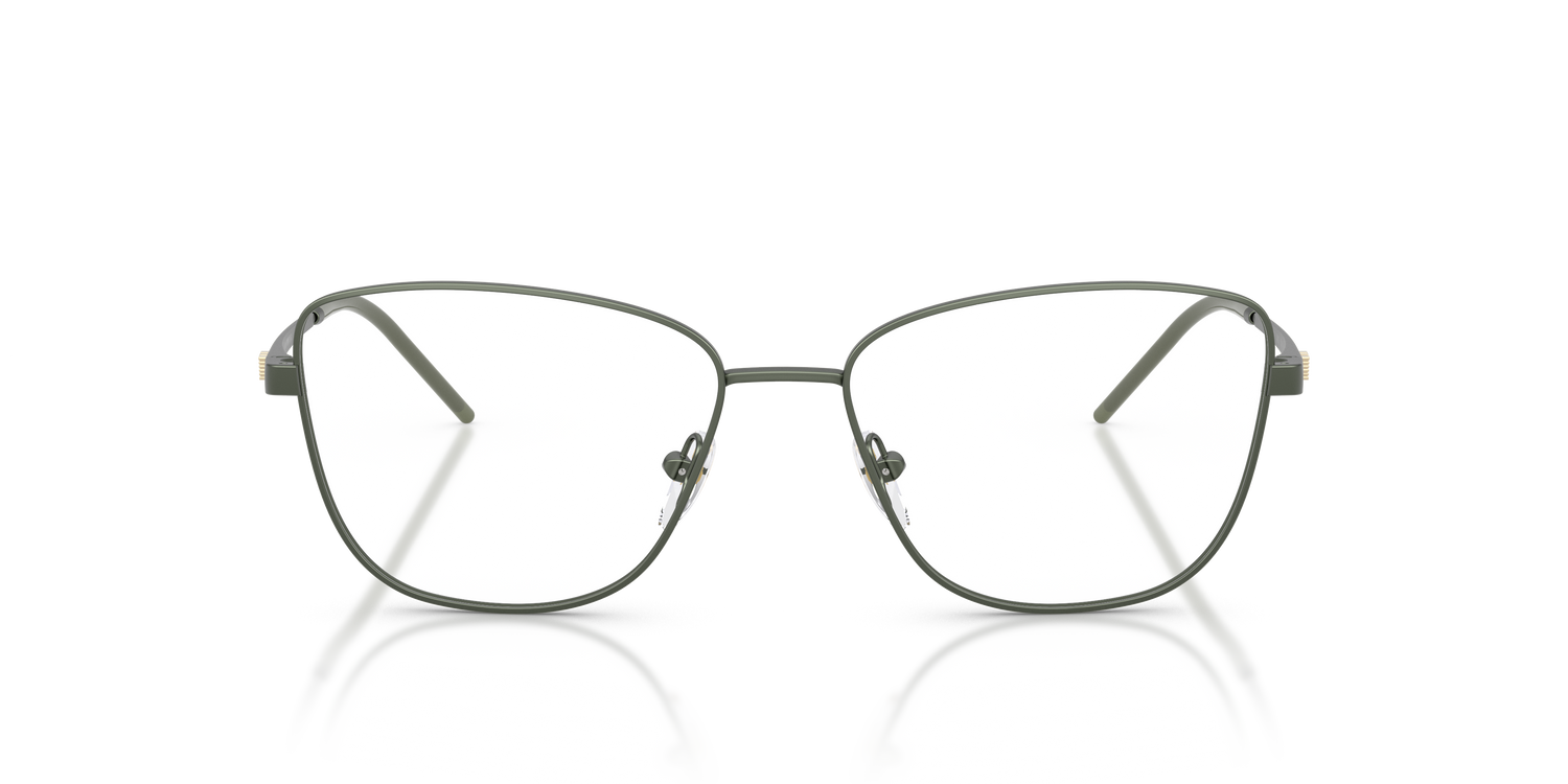 EMPORIO ARMANI EA1172 3402 53