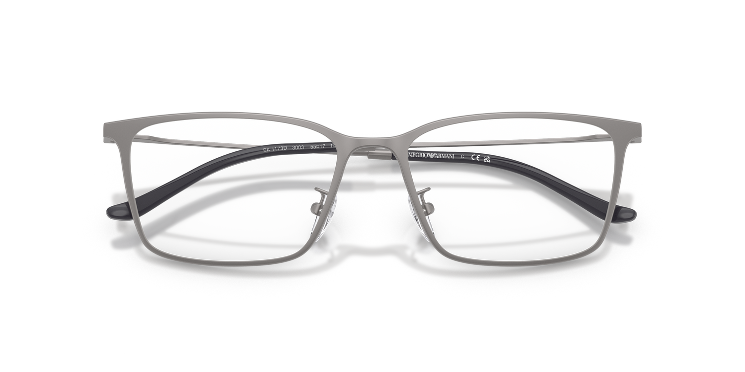 EMPORIO ARMANI EA1173D 3003 55