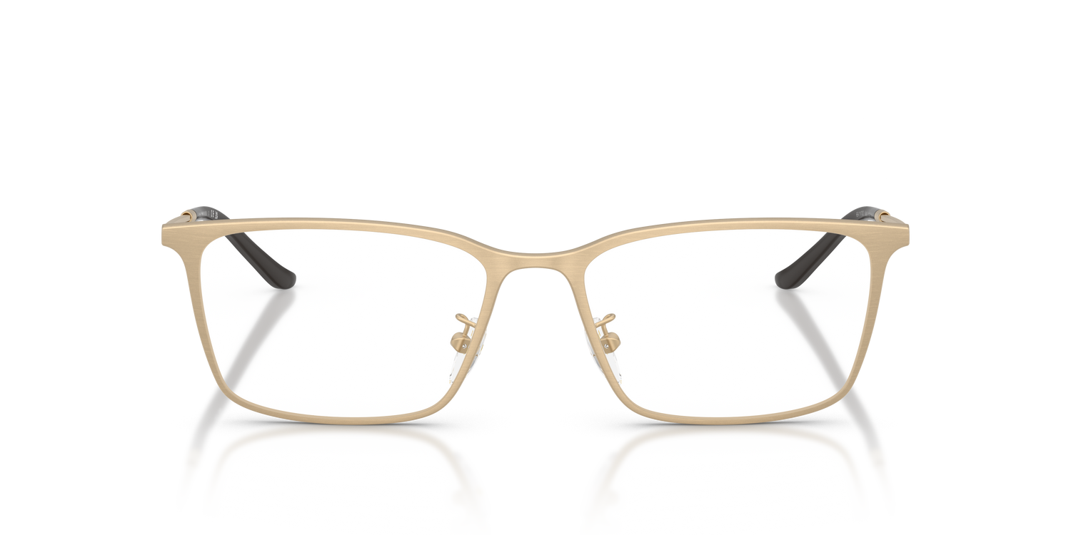 EMPORIO ARMANI EA1173D 3403 55