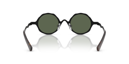 EMPORIO ARMANI EA2166 3001/2 41