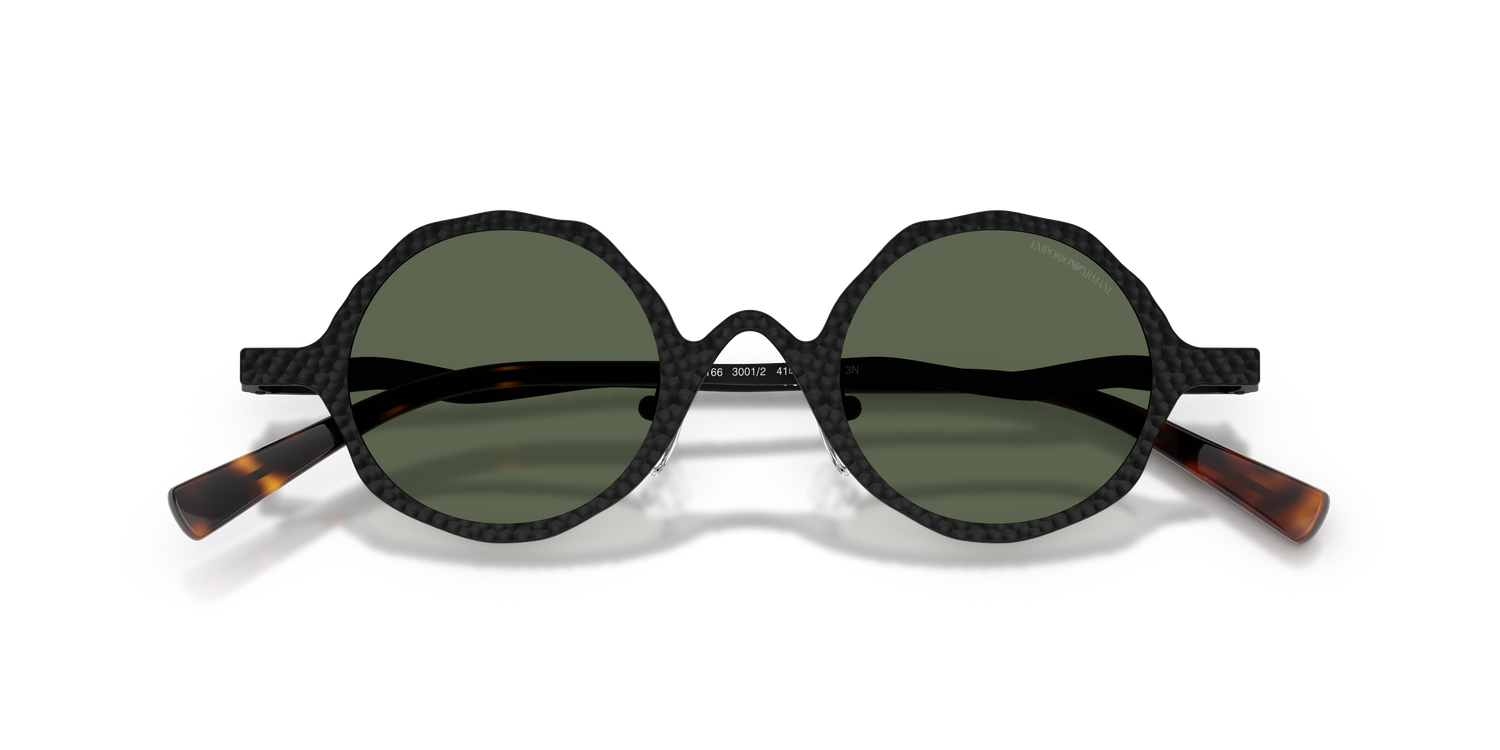 EMPORIO ARMANI EA2166 3001/2 41