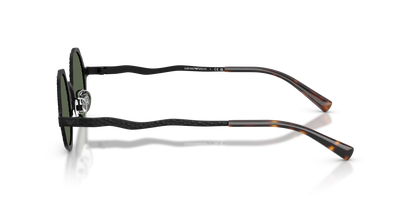 EMPORIO ARMANI EA2166 3001/2 41