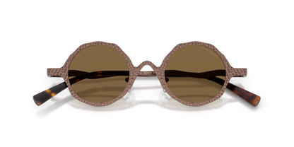 EMPORIO ARMANI EA2166 300473 41