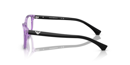 EMPORIO ARMANI EA3099 6197 54