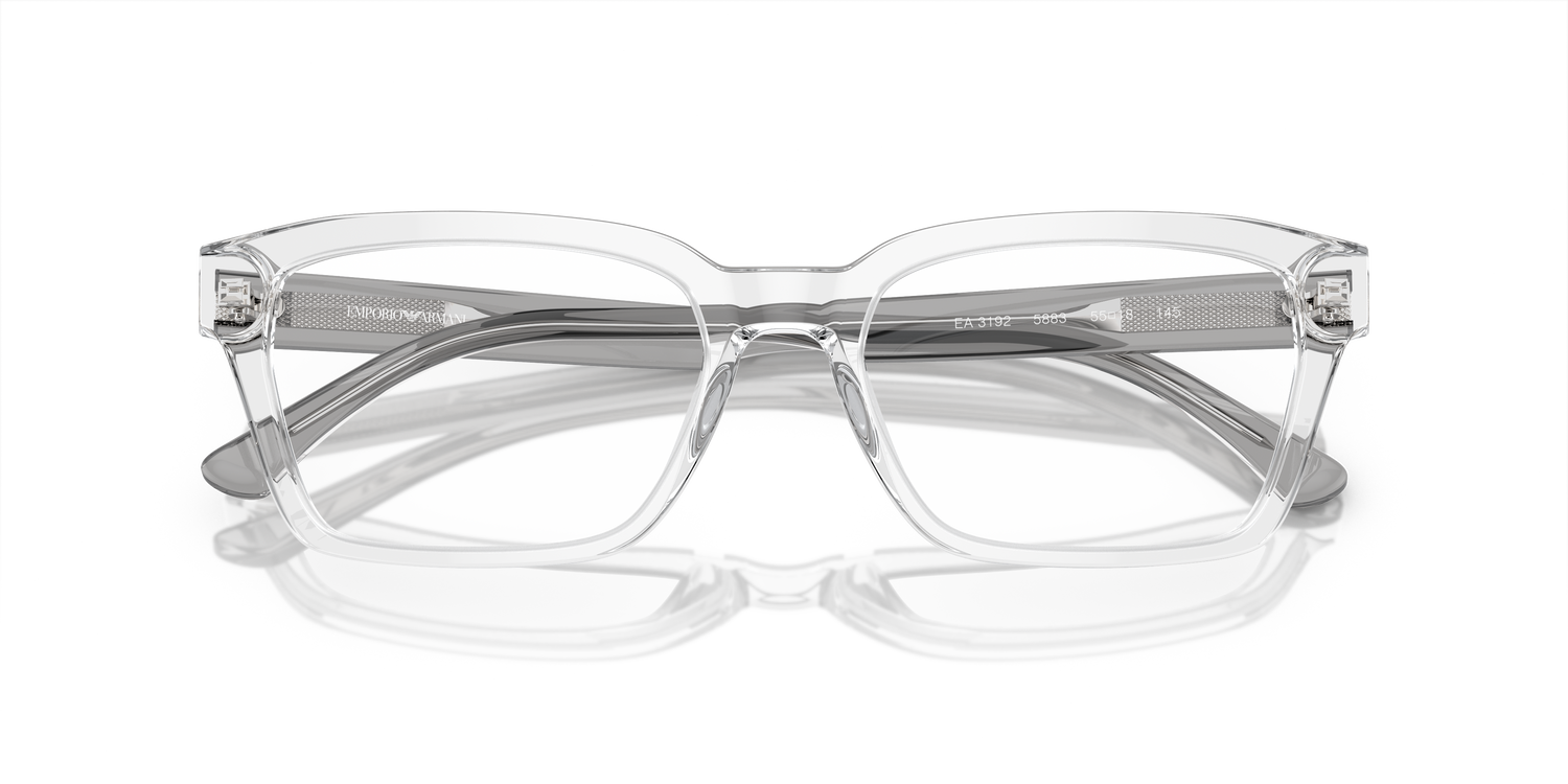 EMPORIO ARMANI EA3192 5883 55