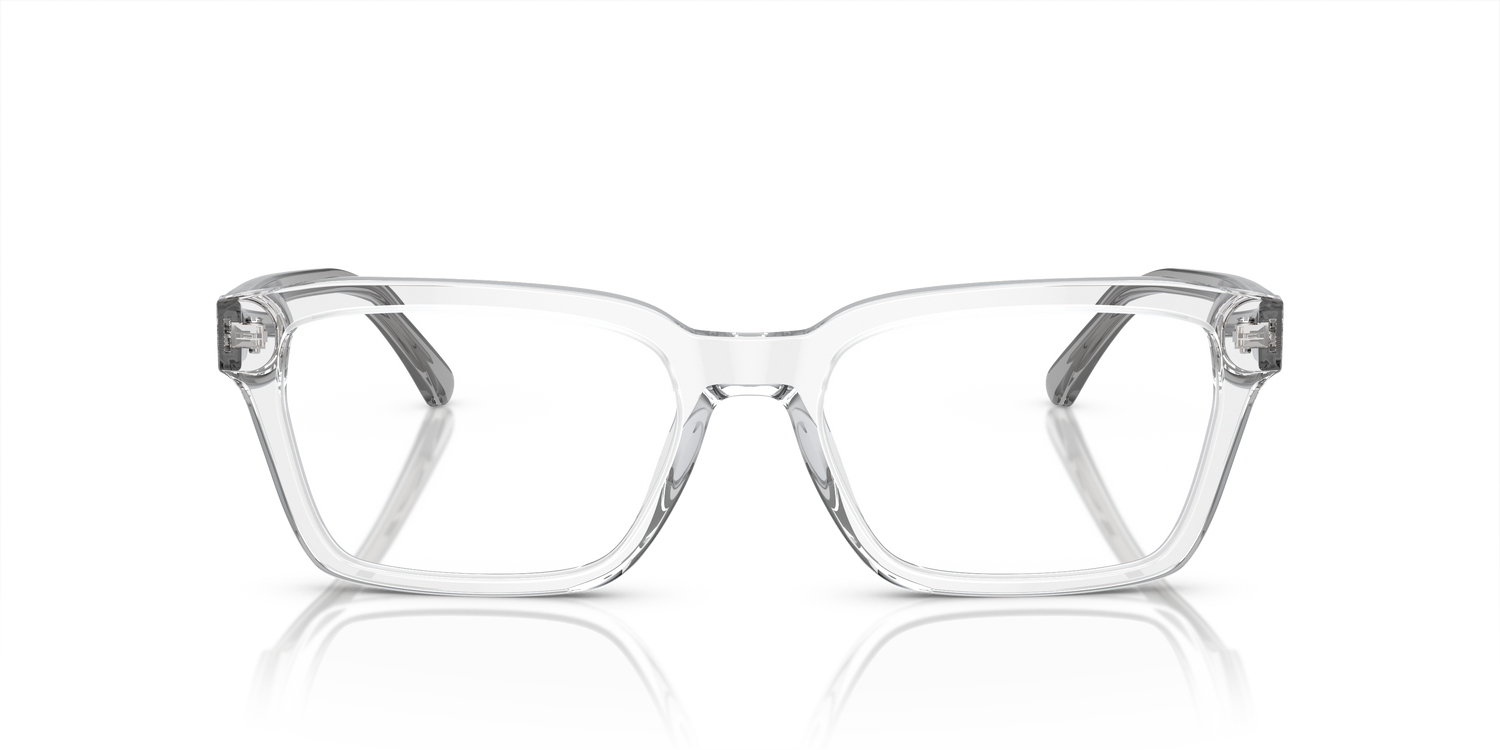 EMPORIO ARMANI EA3192 5883 55