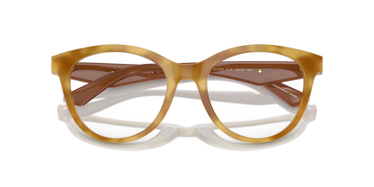 EMPORIO ARMANI EA3236 6115 50