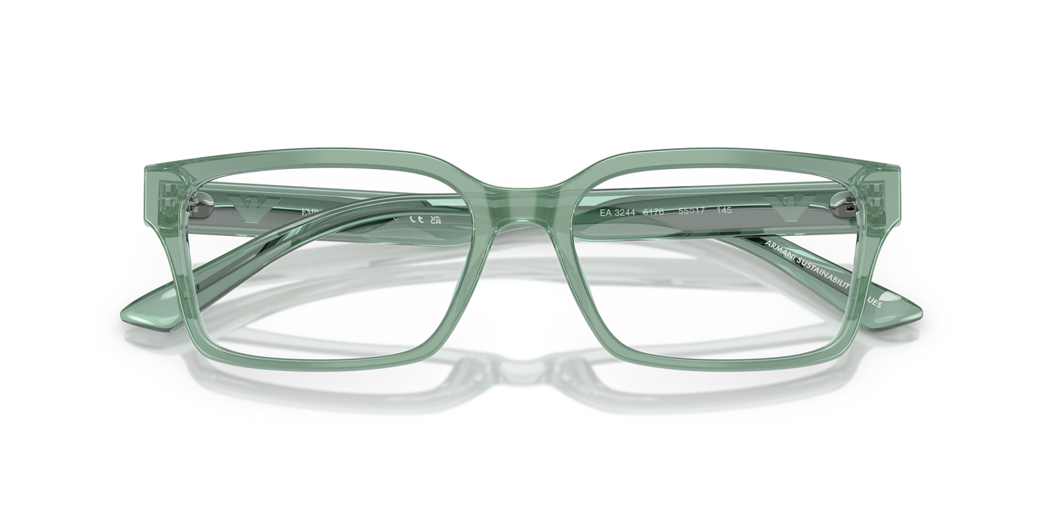 EMPORIO ARMANI EA3244 6176 55