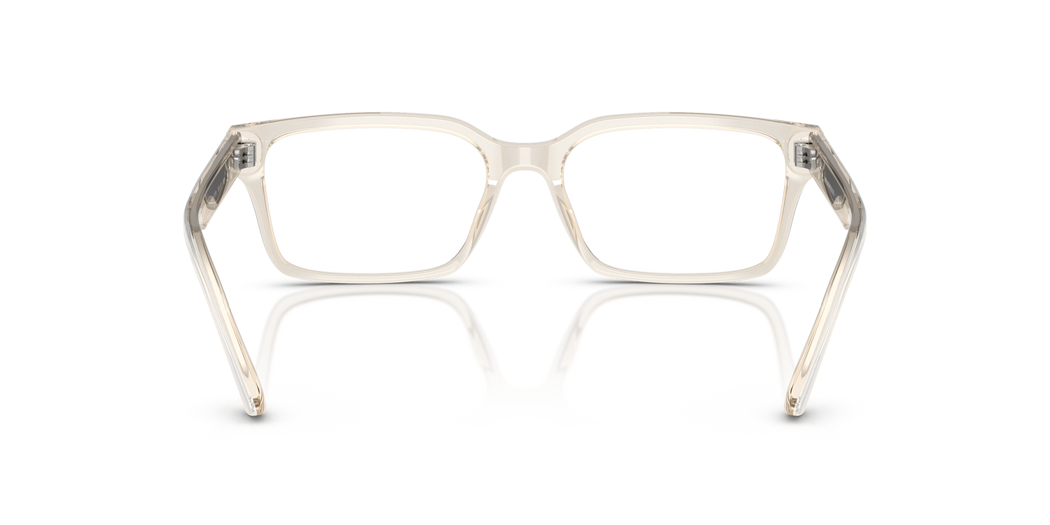 EMPORIO ARMANI EA3244 6179 55