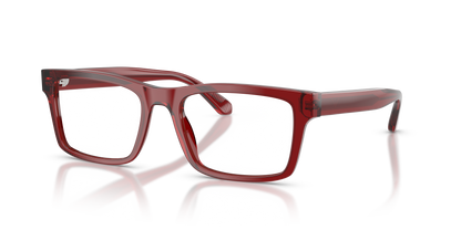 EMPORIO ARMANI EA3254 6248 56