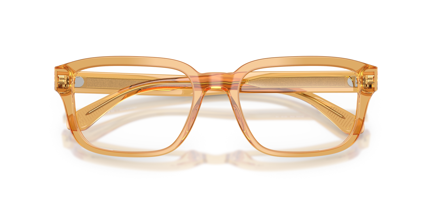 EMPORIO ARMANI EA3255 6246 55