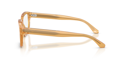 EMPORIO ARMANI EA3255 6246 55