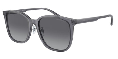 EMPORIO ARMANI EA4206D 5029T3 57