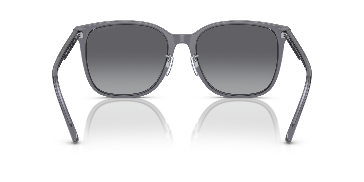 EMPORIO ARMANI EA4206D 5029T3 57