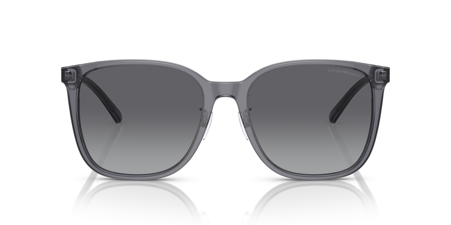 EMPORIO ARMANI EA4206D 5029T3 57