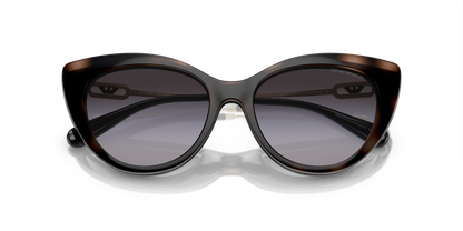 EMPORIO ARMANI EA4213U 50171W 53