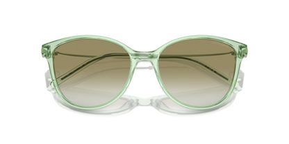 EMPORIO ARMANI EA4220 61078E 54