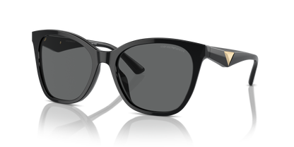 EMPORIO ARMANI EA4222U 501787 56