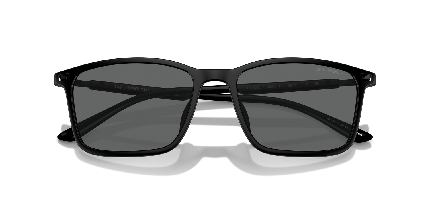 EMPORIO ARMANI EA4223U 500187 56