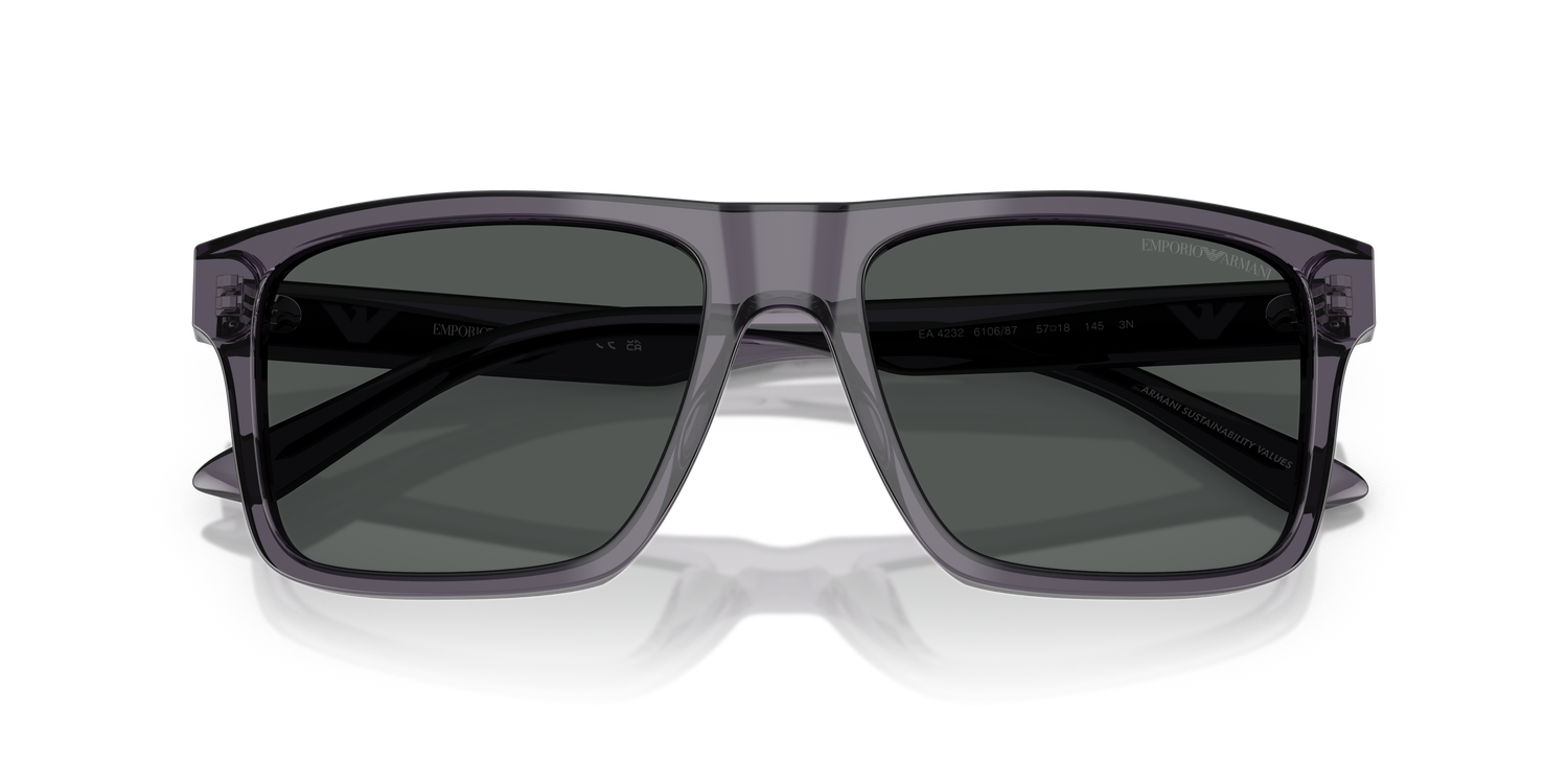 EMPORIO ARMANI EA4232 610687 57