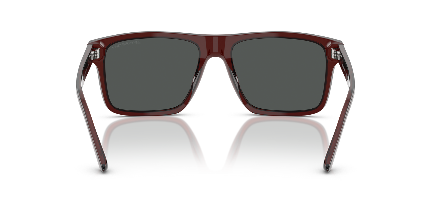 EMPORIO ARMANI EA4232 617487 57