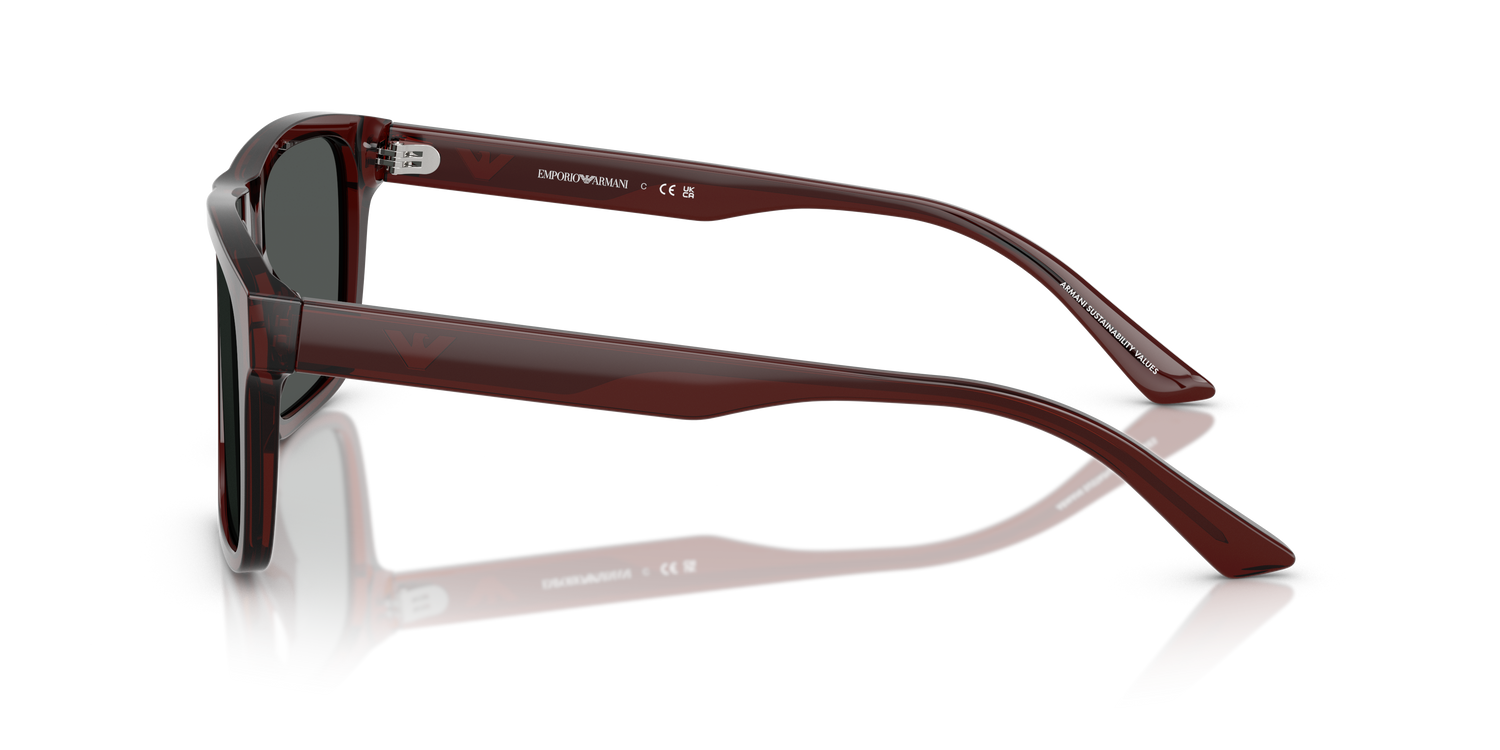 EMPORIO ARMANI EA4232 617487 57