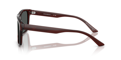 EMPORIO ARMANI EA4232 617487 57