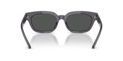 EMPORIO ARMANI EA4233U 610687 53