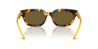 EMPORIO ARMANI EA4233U 618173 53