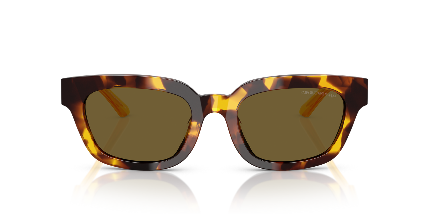 EMPORIO ARMANI EA4233U 618173 53