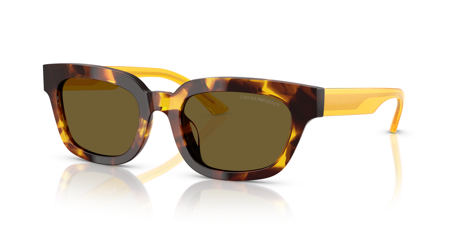 EMPORIO ARMANI EA4233U 618173 53