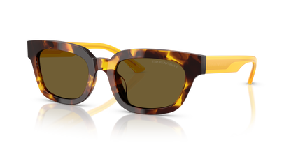 EMPORIO ARMANI EA4233U 618173 53