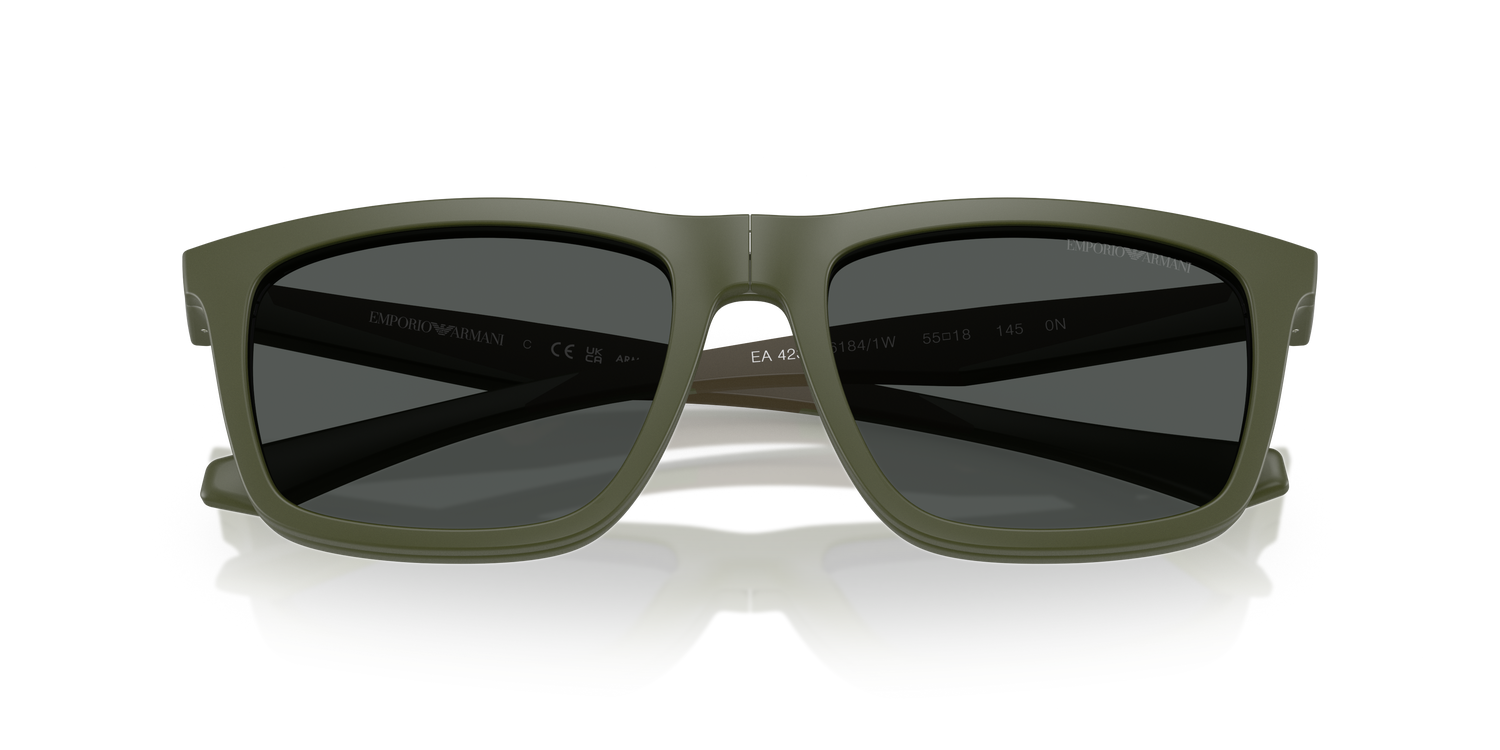 EMPORIO ARMANI EA4235 61841W 55