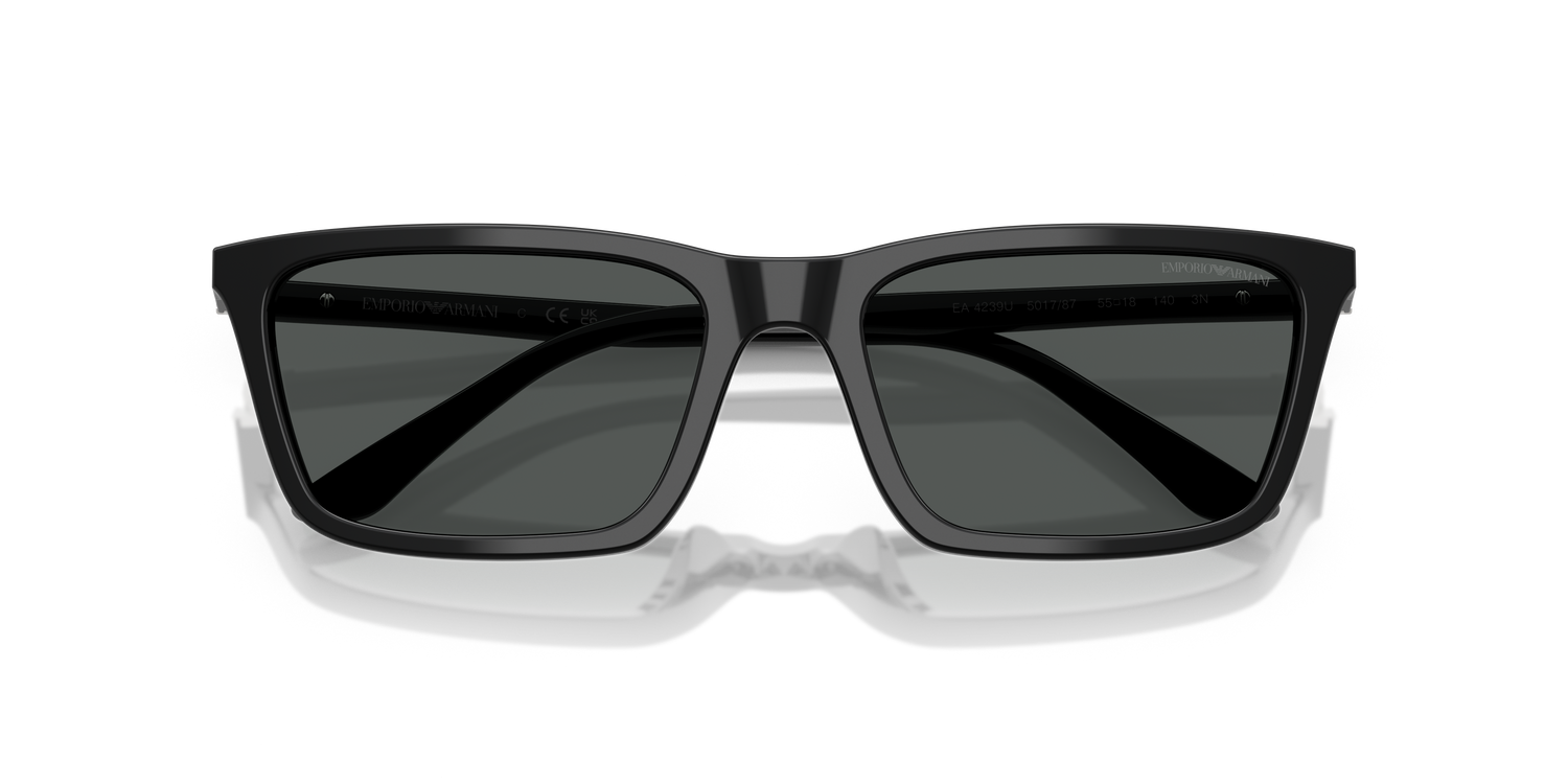 EMPORIO ARMANI EA4239U 501787 55