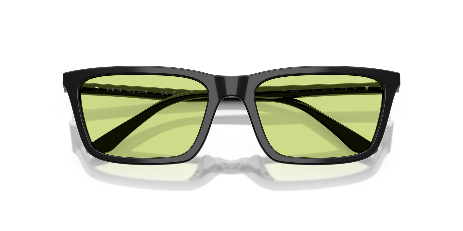 EMPORIO ARMANI EA4239U 5017/2 55