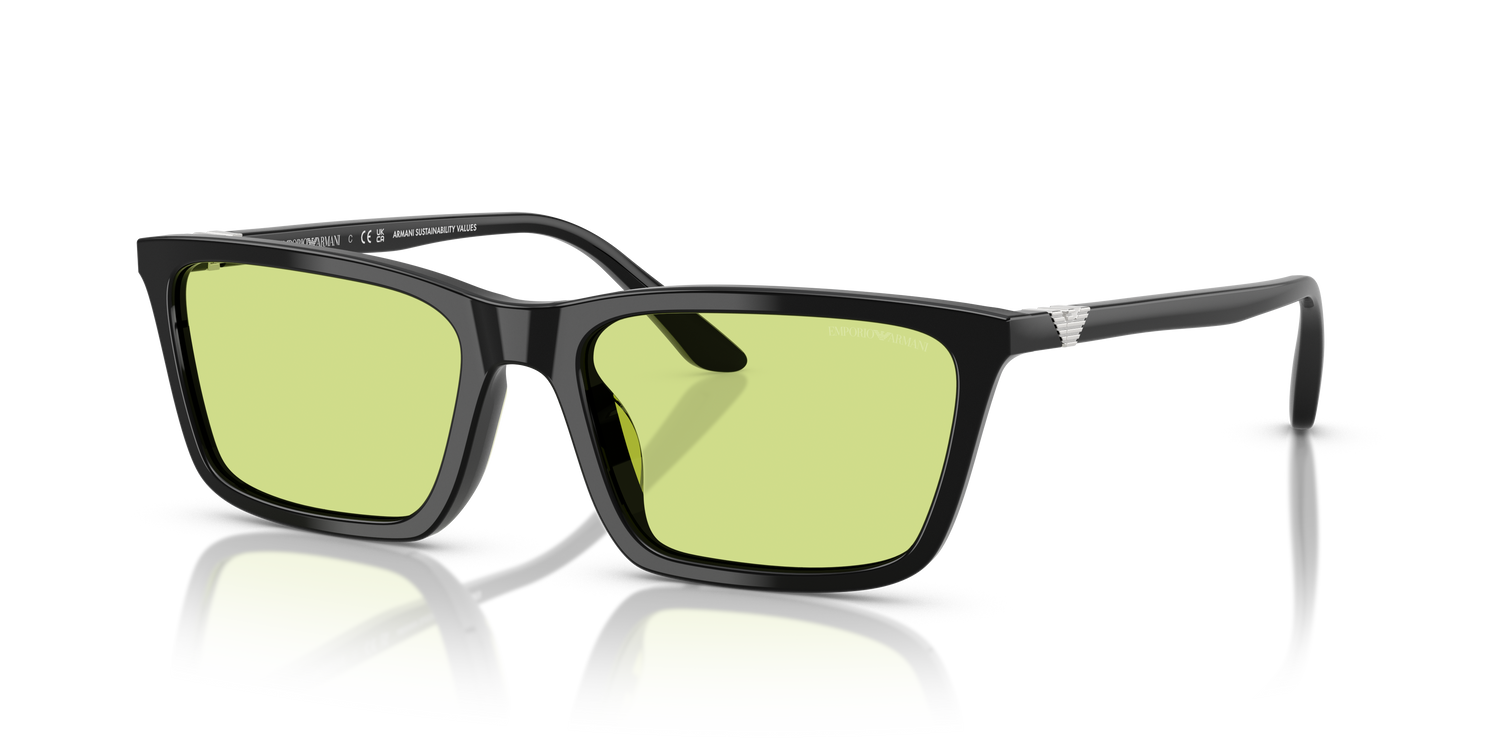 EMPORIO ARMANI EA4239U 5017/2 55