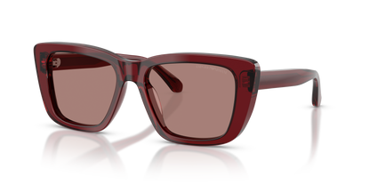 EMPORIO ARMANI EA4246U 625473 54