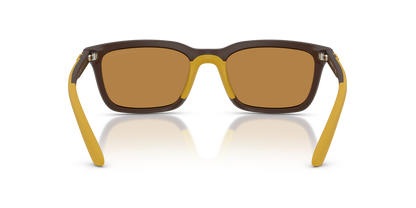 EMPORIO ARMANI EA4249U 625893 55