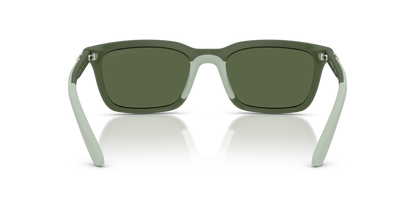 EMPORIO ARMANI EA4249U 625971 55