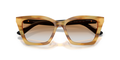 EMPORIO ARMANI EA4250U 62692Q 54