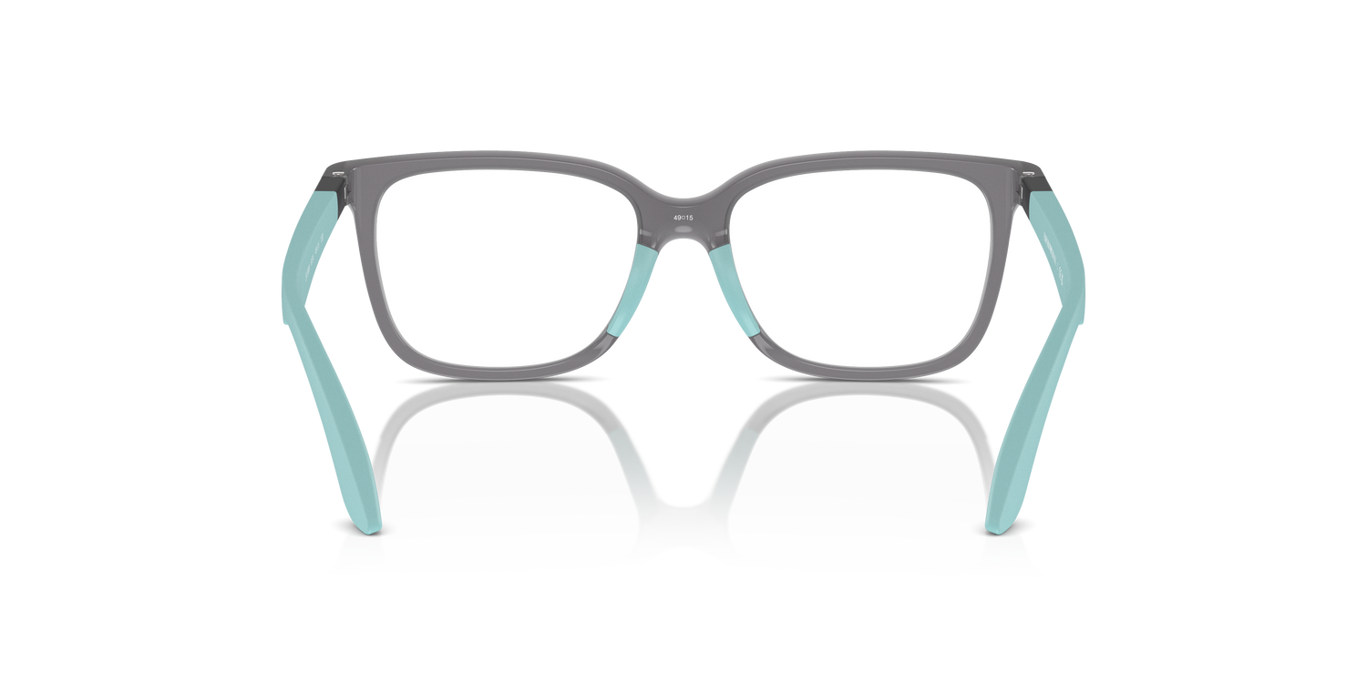 EMPORIO ARMANI EK3006 6134 49