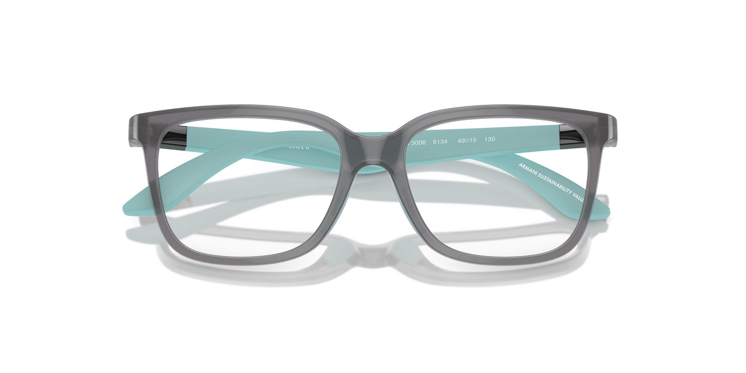 EMPORIO ARMANI EK3006 6134 49