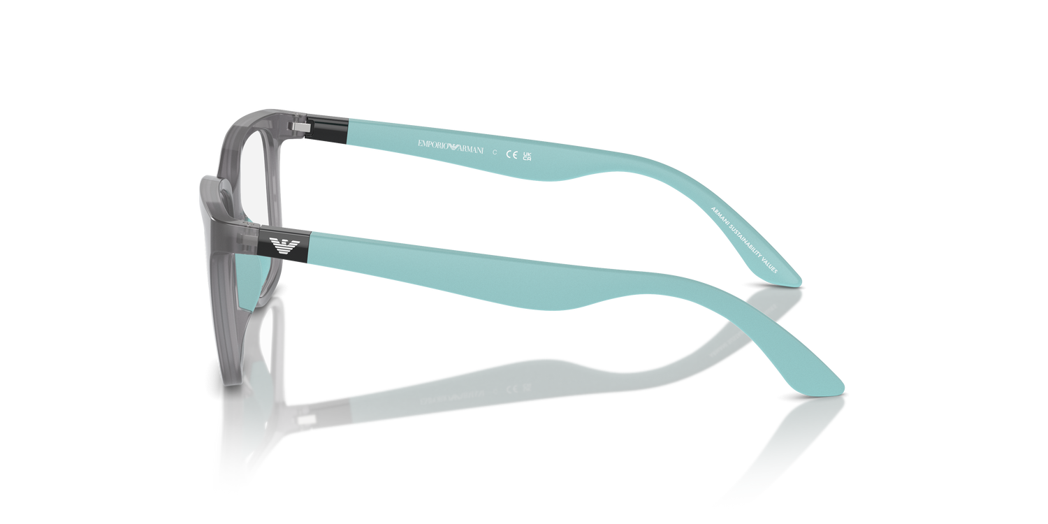 EMPORIO ARMANI EK3006 6134 49