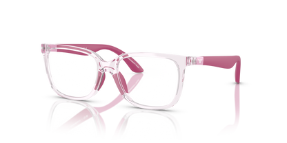 EMPORIO ARMANI EK3006 6139 49