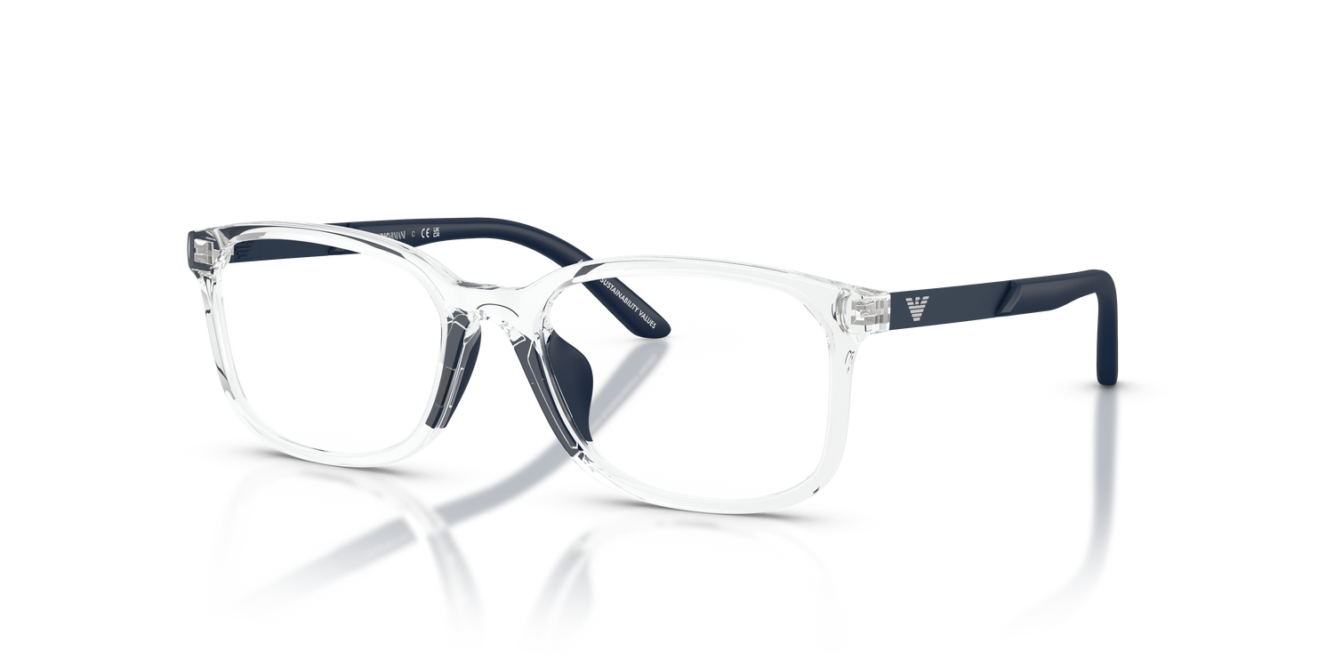 EMPORIO ARMANI EK3008U 5893 49